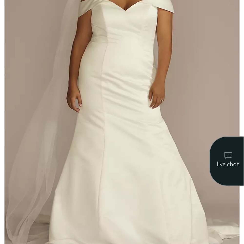 David's Bridal Elegant Cream Wedding Dress - Picture 5 of 7